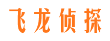 月湖市侦探调查公司